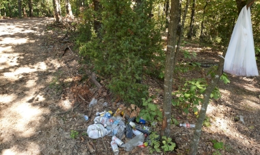 Smeće u našim šumama
