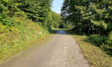 Akcija na putu drugi dio