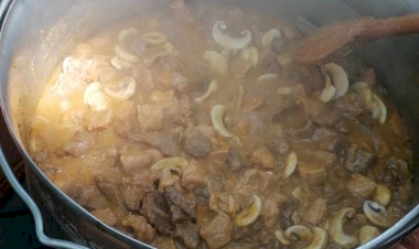 Gastro fest Stanari 2023